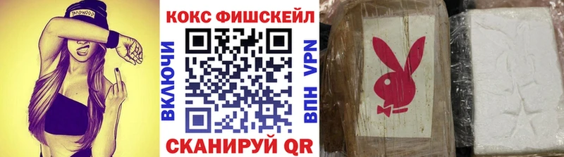 Cocaine Эквадор  OMG ссылки  Кингисепп 