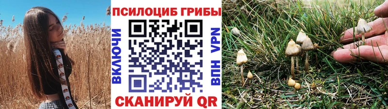 Псилоцибиновые грибы Psilocybine cubensis  Кингисепп 