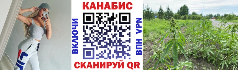 кракен вход  Кингисепп  Конопля Bruce Banner 